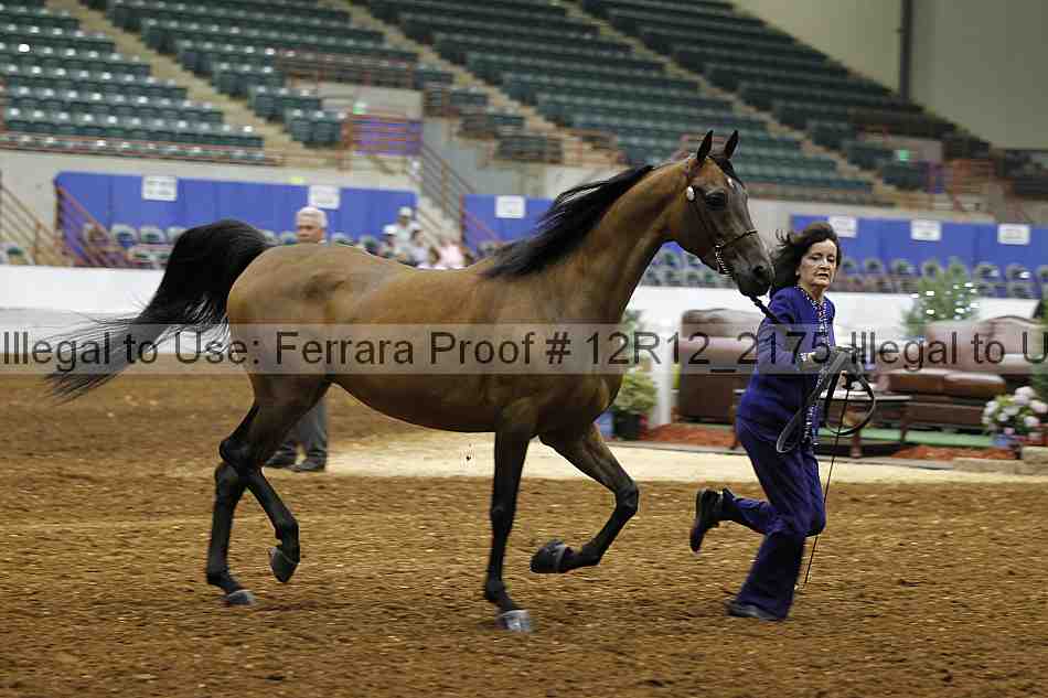 Proof 12r12_2175