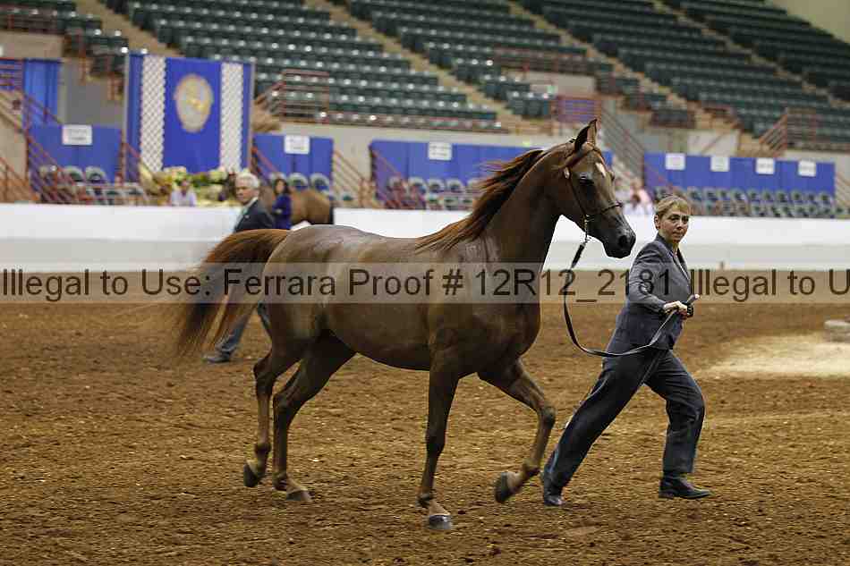 Proof 12r12_2181