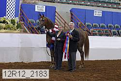 12r12_2183 proof
