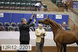 12r12_2201 proof
