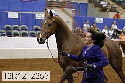 12r12_2255 proof