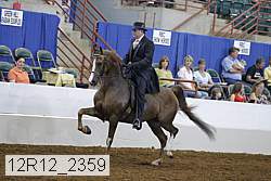 12r12_2359 proof