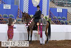 12r12_2372 proof