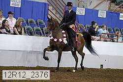 12r12_2376 proof