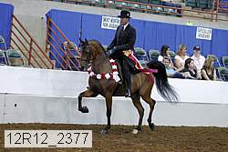 12r12_2377 proof