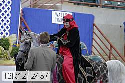 12r12_2437 proof