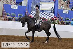 12r12_2518 proof