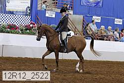 12r12_2522 proof