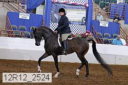 12r12_2524 proof