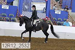 12r12_2532 proof