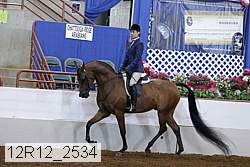 12r12_2534 proof