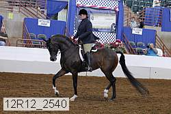 12r12_2540 proof