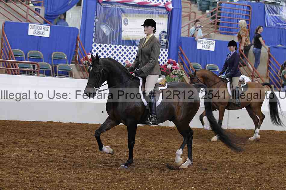 Proof 12r12_2541