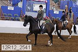 12r12_2541 proof