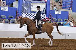 12r12_2543 proof