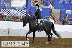 12r12_2545 proof