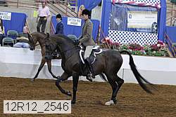 12r12_2546 proof