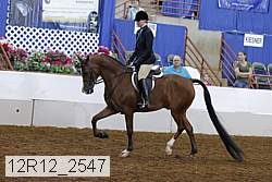 12r12_2547 proof