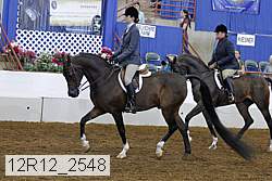 12r12_2548 proof