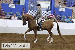 12r12_2550 proof