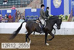 12r12_2555 proof