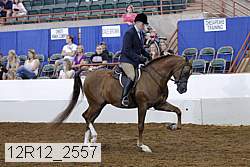 12r12_2557 proof
