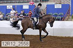 12r12_2558 proof