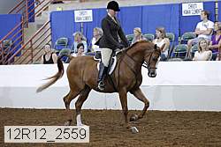 12r12_2559 proof