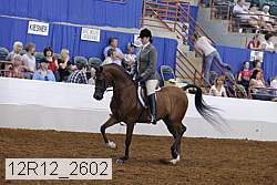 12r12_2602 proof