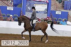 12r12_2603 proof