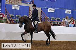 12r12_2610 proof