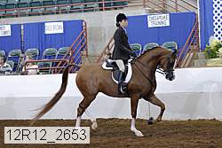 12r12_2653 proof
