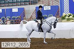 12r12_2655 proof