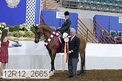 12r12_2665 proof