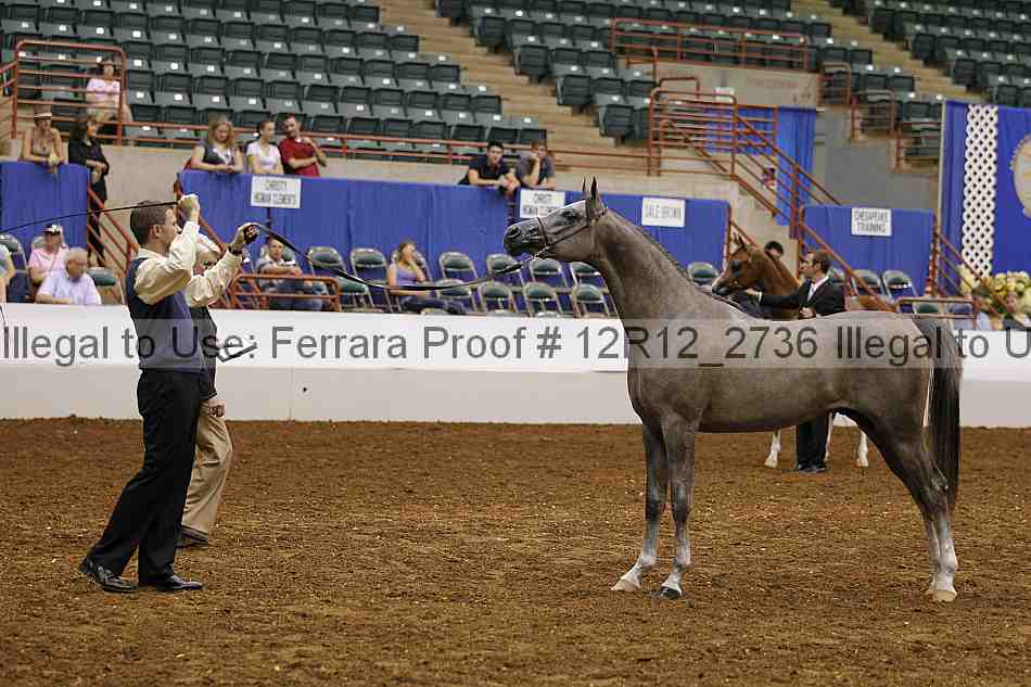 Proof 12r12_2736