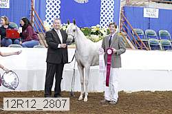 12r12_2807 proof