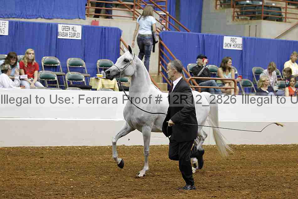 Proof 12r12_2826