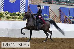 12r12_3085 proof