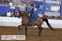 12r12_3161 proof