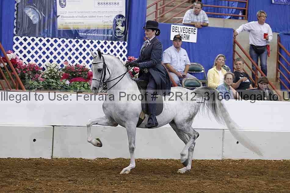 Proof 12r12_3166