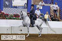 12r12_3166 proof