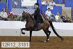 12r12_3181 proof