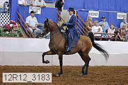 12r12_3183 proof