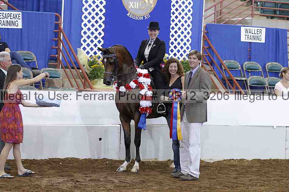 Proof 12r12_3206