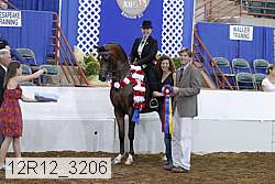 12r12_3206 proof