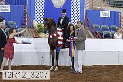 12r12_3207 proof