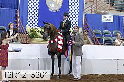 12r12_3261 proof