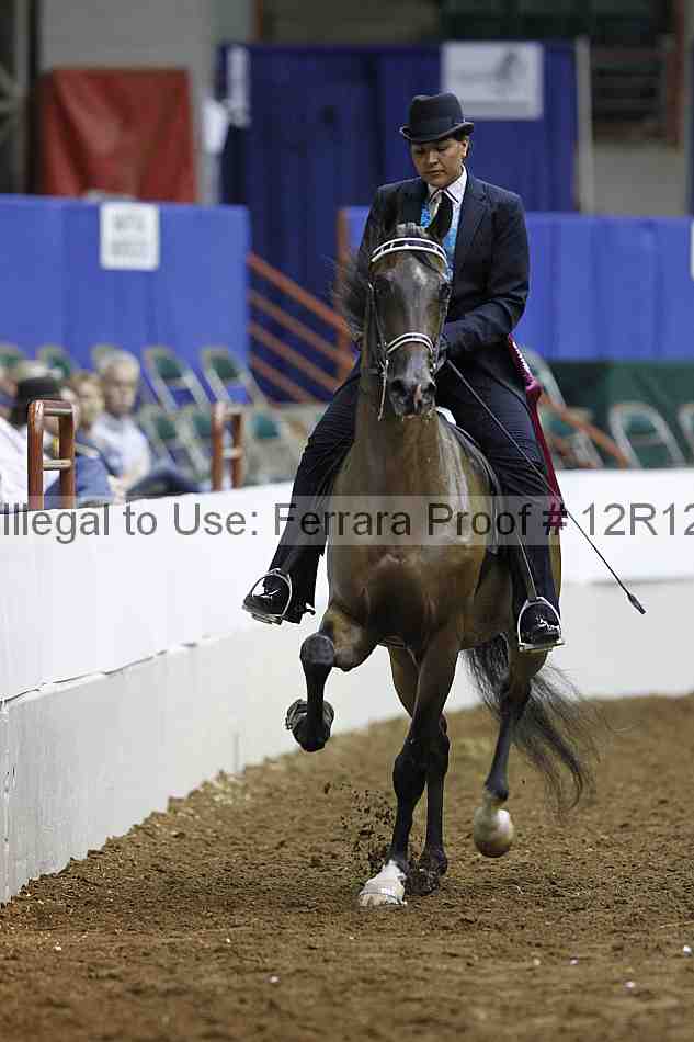 Proof 12r12_3263