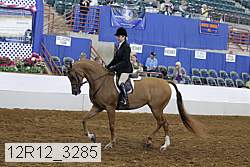 12r12_3285 proof