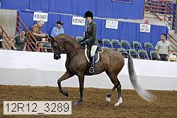 12r12_3289 proof